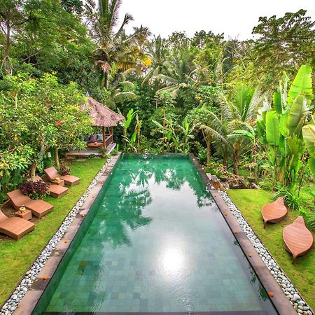 Villa Viola อูบุด ภายนอก รูปภาพ
