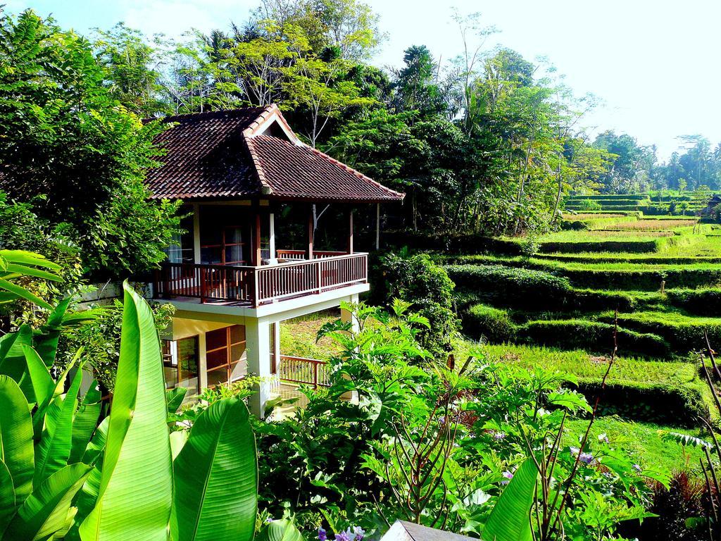 Villa Viola อูบุด ภายนอก รูปภาพ