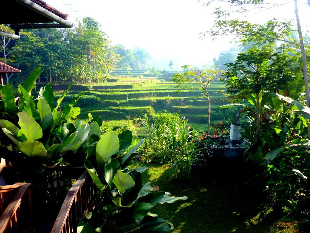 Villa Viola อูบุด ภายนอก รูปภาพ