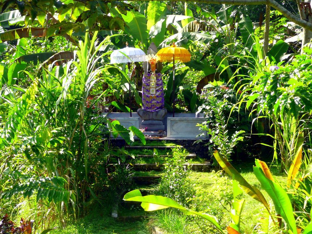 Villa Viola อูบุด ภายนอก รูปภาพ