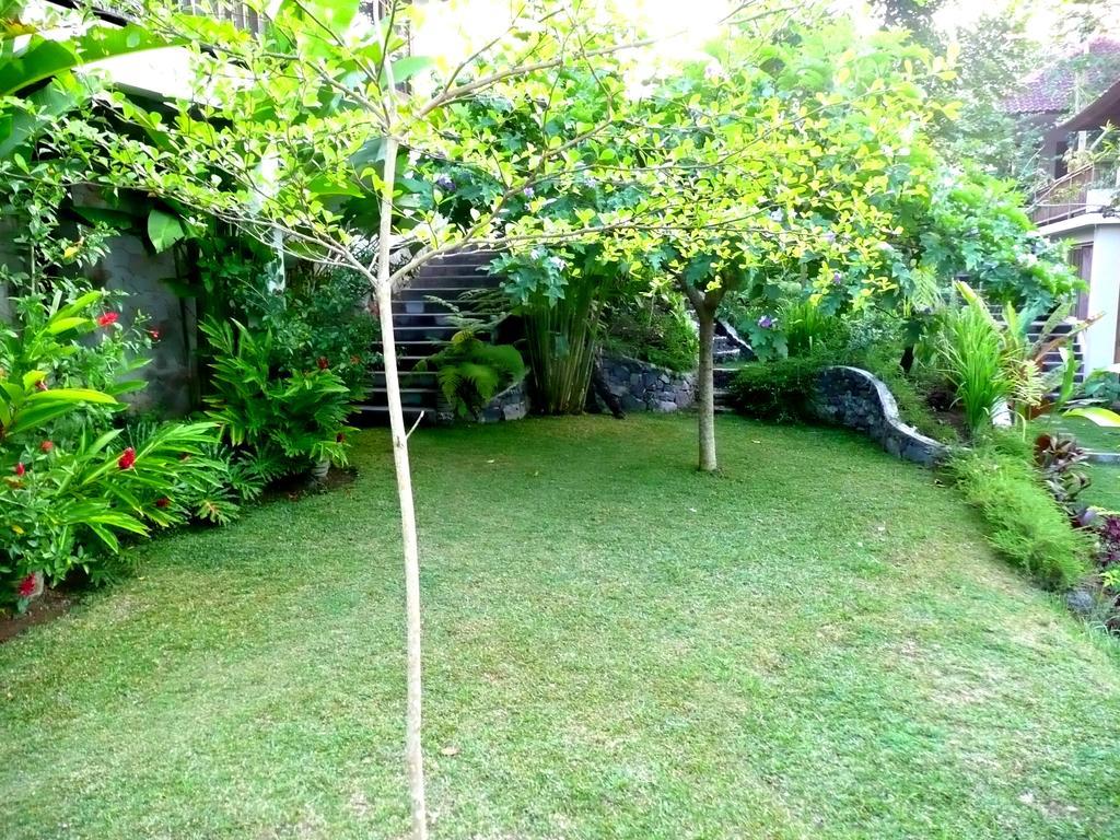 Villa Viola อูบุด ภายนอก รูปภาพ