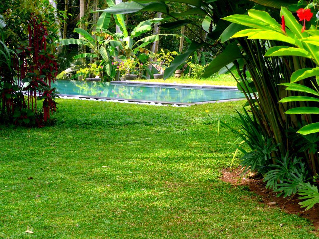Villa Viola อูบุด ภายนอก รูปภาพ