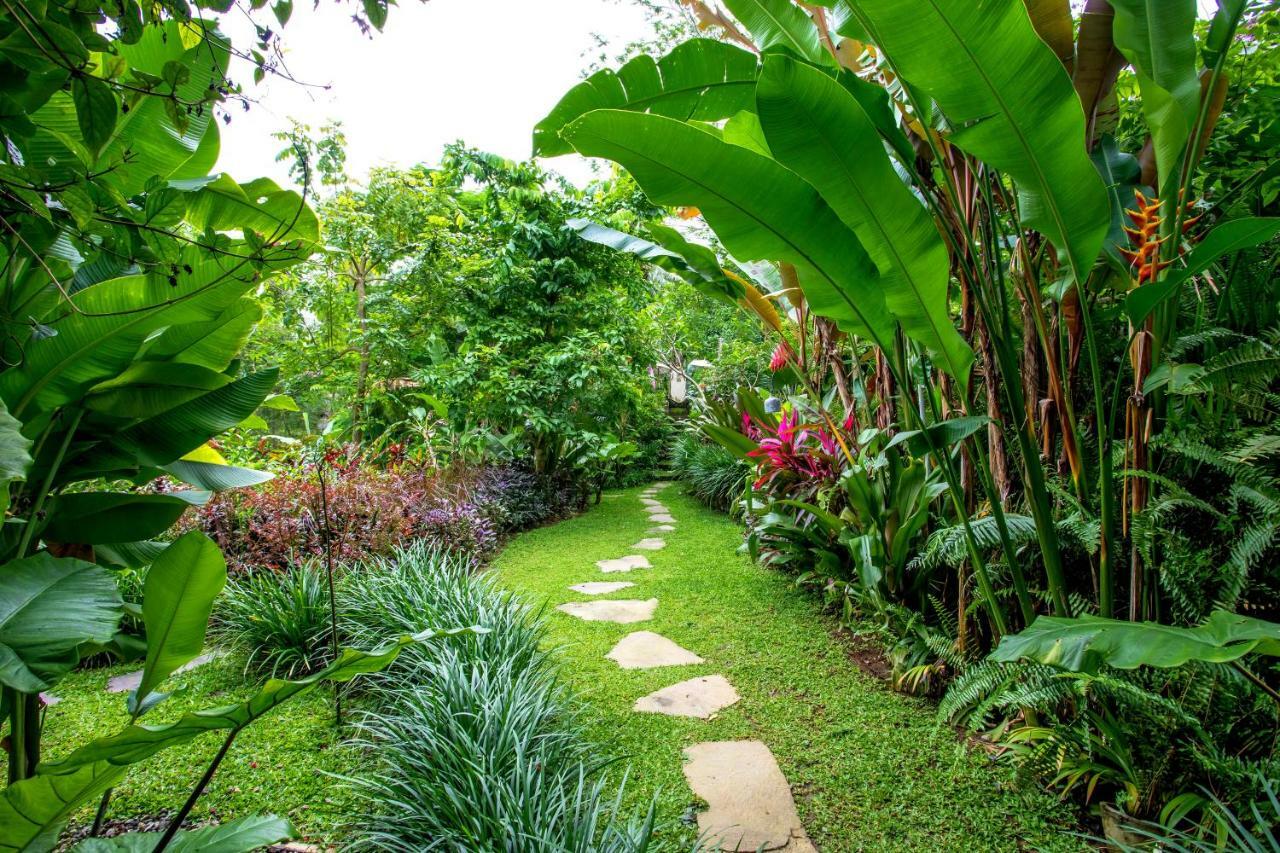 Villa Viola อูบุด ภายนอก รูปภาพ