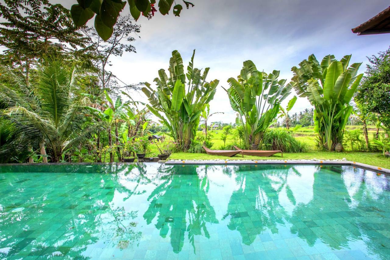 Villa Viola อูบุด ภายนอก รูปภาพ